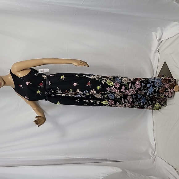 Alex Evenings Women's Long  Sleeveless Embroidered A Line Dress - Picture 12 of 13